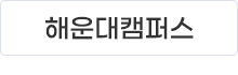 ssi.gif
