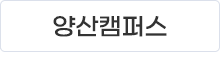 ssi.gif